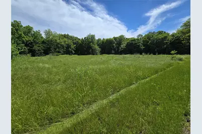 Tbd County Road 1039, Blue Ridge, TX 75424 - Photo 6