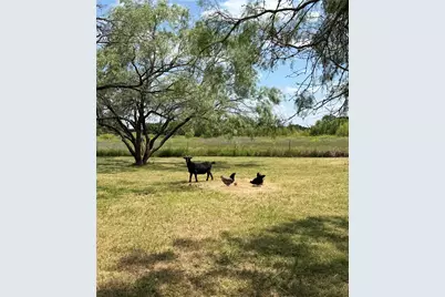 5476 County Road 2646, Royse City, TX 75189 - Photo 32