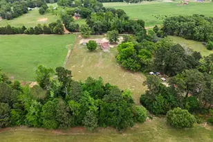 1129 Holly Rd, Gilmer, TX 75644 - Photo 28