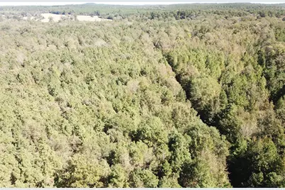 21471 N Fm 95, Garrison, TX 75946 - Photo 20