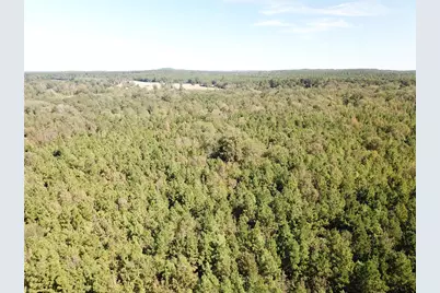 21471 N Fm 95, Garrison, TX 75946 - Photo 18