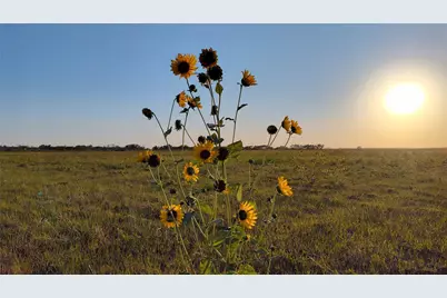 5428 Cr 364, Anson, TX 79501 - Photo 14