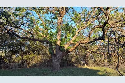 5428 Cr 364, Anson, TX 79501 - Photo 4