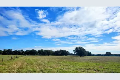 287 County Road 269, Kosse, TX 76653 - Photo 4