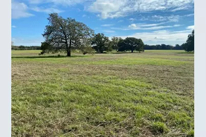 287 County Road 269, Kosse, TX 76653 - Photo 8