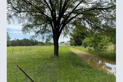 4451 County Road 2295, Telephone, TX 75488 - Photo 6