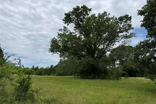 4451 Co Rd 2295, Telephone, TX 75488 - Photo 1