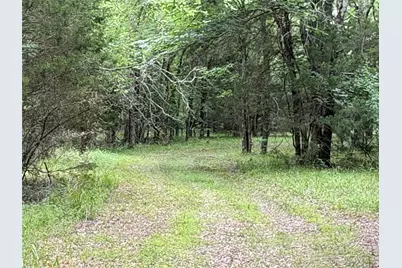 2212 County Road 4128, Cumby, TX 75433 - Photo 4