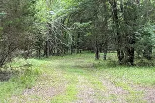 2212 Co Rd 4128, Cumby, TX 75433 - Photo 4
