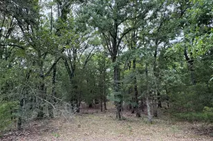 2212 Co Rd 4128, Cumby, TX 75433 - Photo 20