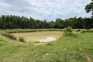 2212 Co Rd 4128, Cumby, TX 75433 - Photo 14