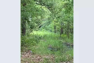 0 Hwy 175, Mabank, TX 75147 - Photo 4