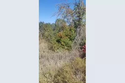 260 Scenic Wood Drive, Reno, TX 76020 - Photo 2
