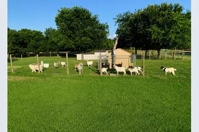 9909 County Road 309, Terrell, TX 75161 - Photo 38