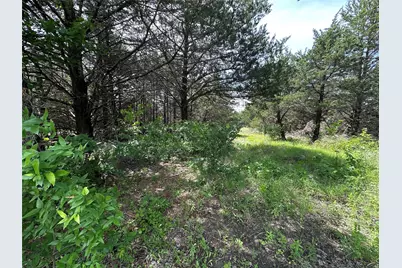 3360 Old Sherman Road, Whitesboro, TX 76273 - Photo 22