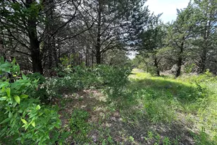 3360 Old Sherman Rd, Whitesboro, TX 76273 - Photo 22