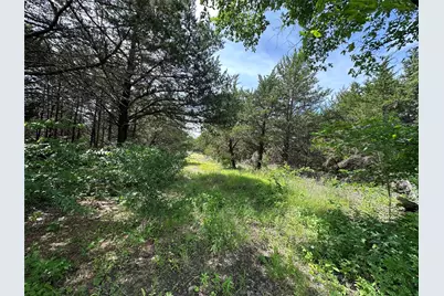 3360 Old Sherman Road, Whitesboro, TX 76273 - Photo 20