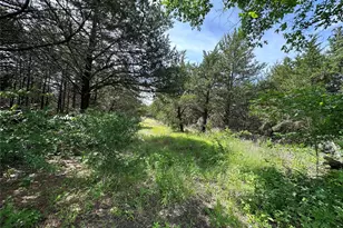 3360 Old Sherman Rd, Whitesboro, TX 76273 - Photo 20