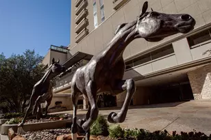 5909 Luther Ln, Dallas, TX 75225 - Photo 24