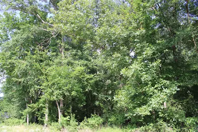 109 Lakeview Trail, Mabank, TX 75147 - Photo 14