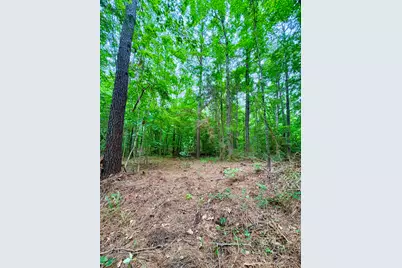 Tbd County Road 4504, Jacksonville, TX 75766 - Photo 10