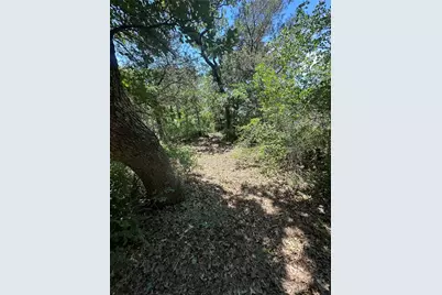 20 Marsden Lane, Palo Pinto, TX 76484 - Photo 6