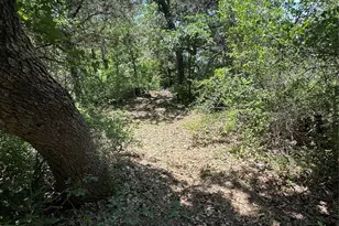 20 Marsden Ln, Palo Pinto, TX 76484 - Photo 6