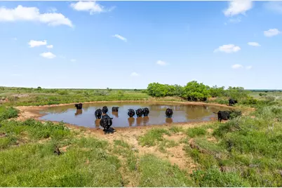794.5 Ac Hwy 82, Montague, TX 76261 - Photo 8