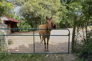 8261 County Rd 381, Tyler, TX 75708 - Photo 26