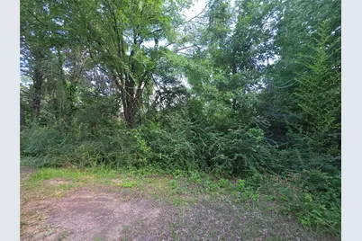 115 Abrams Road, Gun Barrel City, TX 75156 - Photo 2