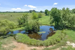 1026 Vz County Road 2115, Canton, TX 75103 - Photo 40