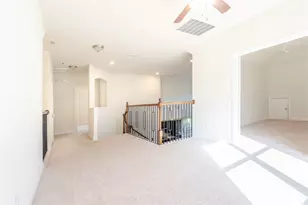 5305 Delta Blush Ln, McKinney, TX 75070 - Photo 22