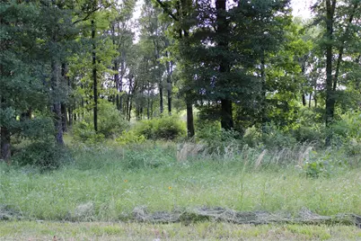 116 Lakeview Trail, Mabank, TX 75147 - Photo 6