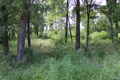 116 Lakeview Trail, Mabank, TX 75147 - Photo 8