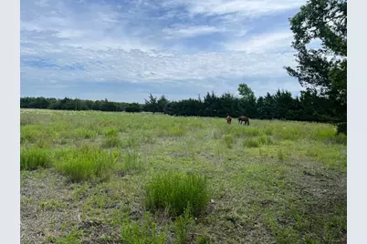 706 Prince Lane, Fate, TX 75087 - Photo 2