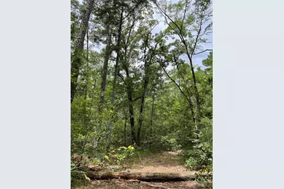 0000 Pr 6662, Mineola, TX 75773 - Photo 4