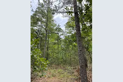 0000 Pr 6662, Mineola, TX 75773 - Photo 6
