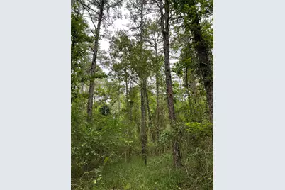 0000 Pr 6662, Mineola, TX 75773 - Photo 8