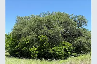 601 Chestnut Street, Hico, TX 76457 - Photo 6