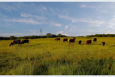 18100 Fm 920, Poolville, TX 76487 - Photo 22