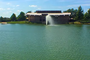 11962 Henderson Dr, Frisco, TX 75035 - Photo 24