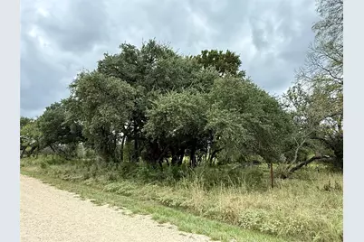 Lot 37 County Road 3208, Hico, TX 76457 - Photo 18