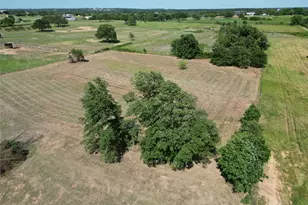 1701 Fox Rd, Millsap, TX 76066 - Photo 24