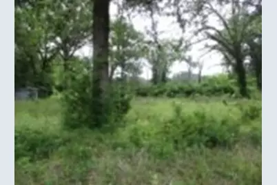 6489 S Fm 779, Alba, TX 75140 - Photo 2