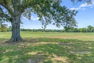 Tbd County Road 4509, Ben Wheeler, TX 75754 - Photo 1
