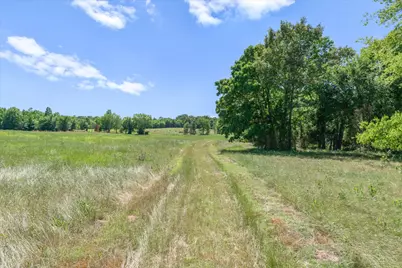 Tbd County Road 4509, Ben Wheeler, TX 75754 - Photo 24