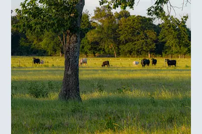 1423 Fm 1653, Ben Wheeler, TX 75754 - Photo 40