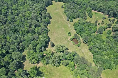 258 County Road 3199, Winnsboro, TX 75494 - Photo 38