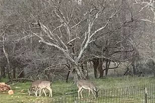304 N Hwy 6, Cisco, TX 76437 - Photo 30