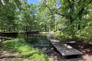 875 Arnold Paul Rd, Canton, TX 75103 - Photo 28